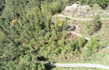 ����ʡ�ƽ���ҽҩ��ҵ����