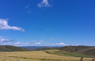 ���ɹ����ƶ�����ҵ��ɫ������������������ʵ����